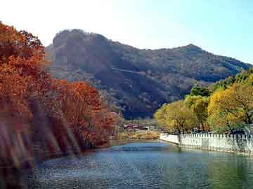 新澳天天开奖资料大全旅游团，二甲苯